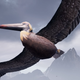 Image for article titled Some NPCs In Star Wars Jedi: Fallen Order Look Scary Up Close
